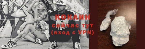 дмт Арсеньев