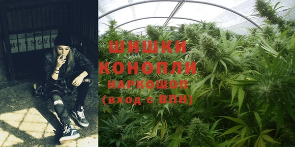 дмт Арсеньев