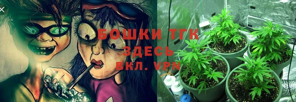 дмт Арсеньев