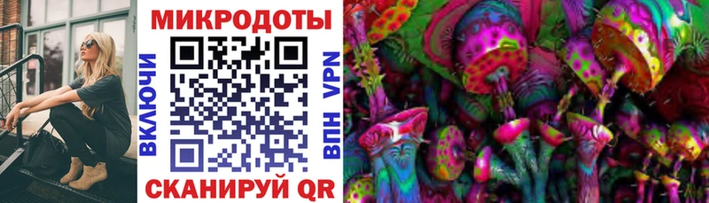 Галлюциногенные грибы Psilocybe  shop клад  Ряжск  где купить  